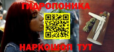 сатива Сланцы