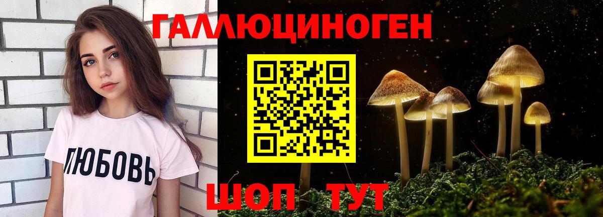 Галлюциногенные грибы Psilocybine cubensis  Вход с VPN  Ноябрьск 